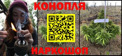 PSILOCYBIN Ирбит
