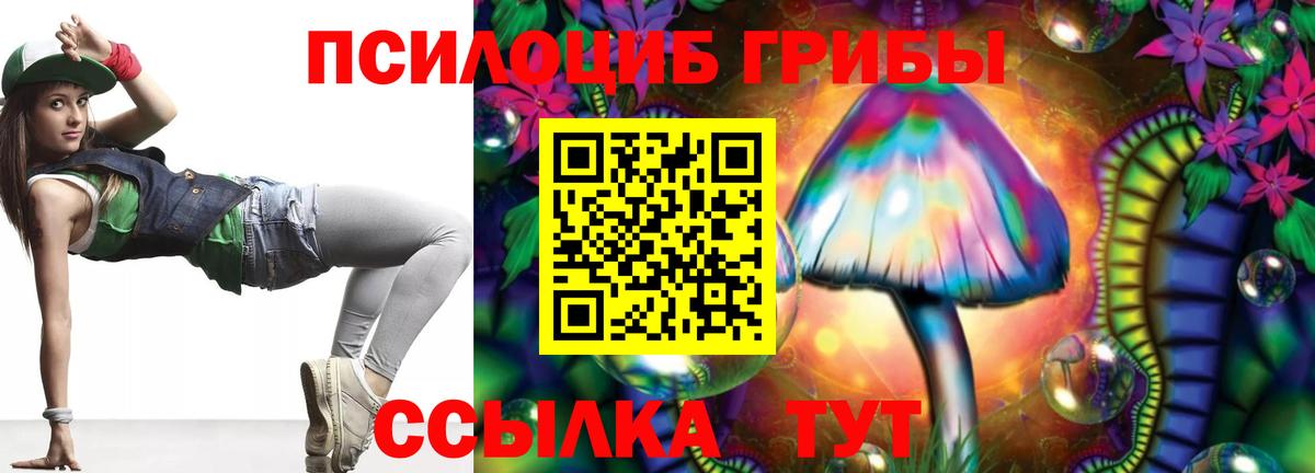 Корсаков  Галлюциногенные грибы GOLDEN TEACHER  Вход с VPN 